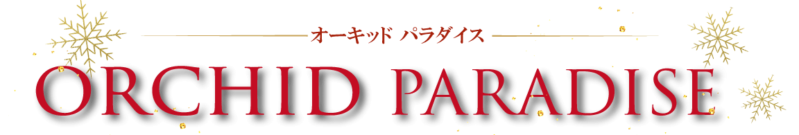 ORCHIDPARADISE