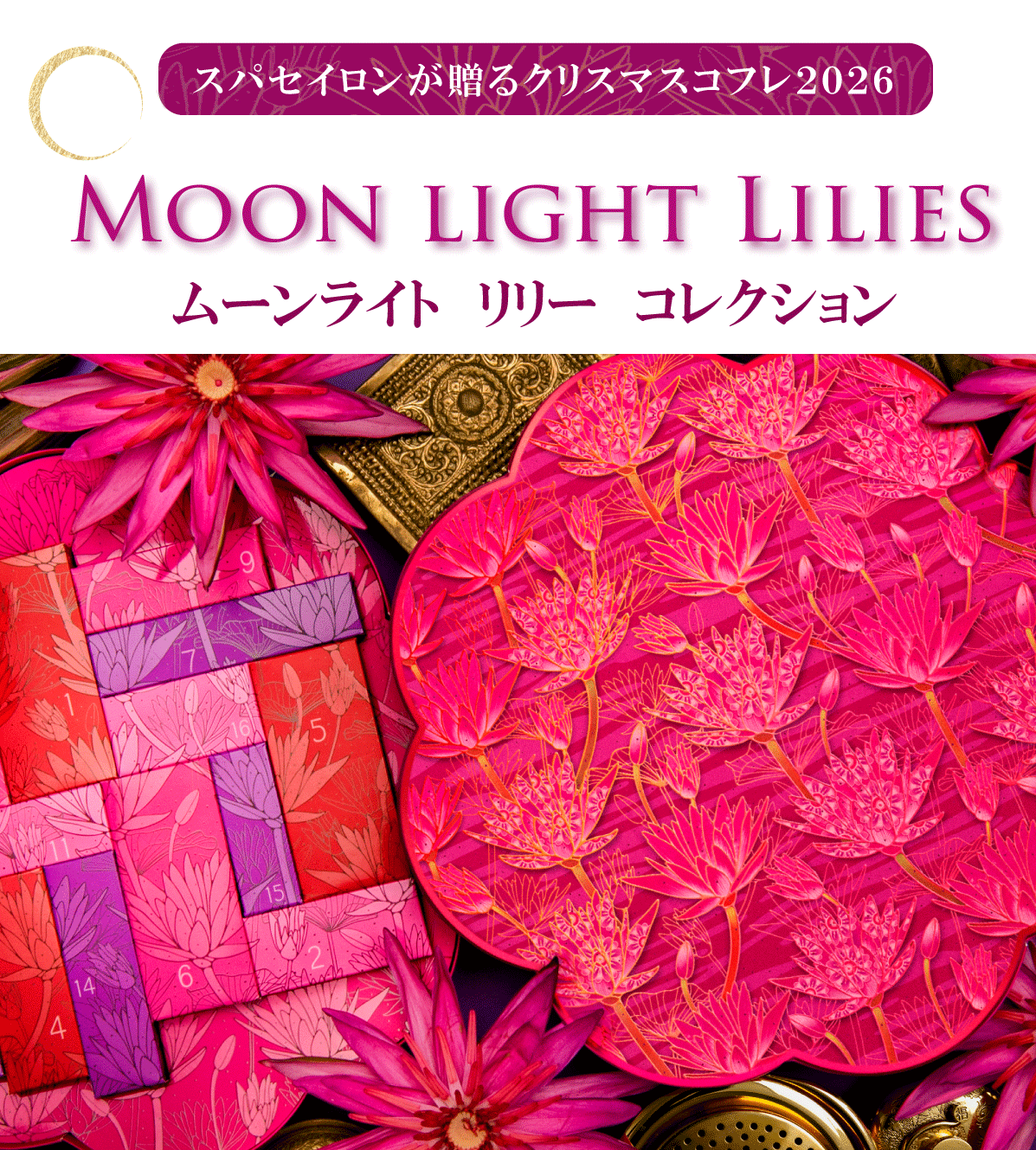 MOONLIGHT LILY