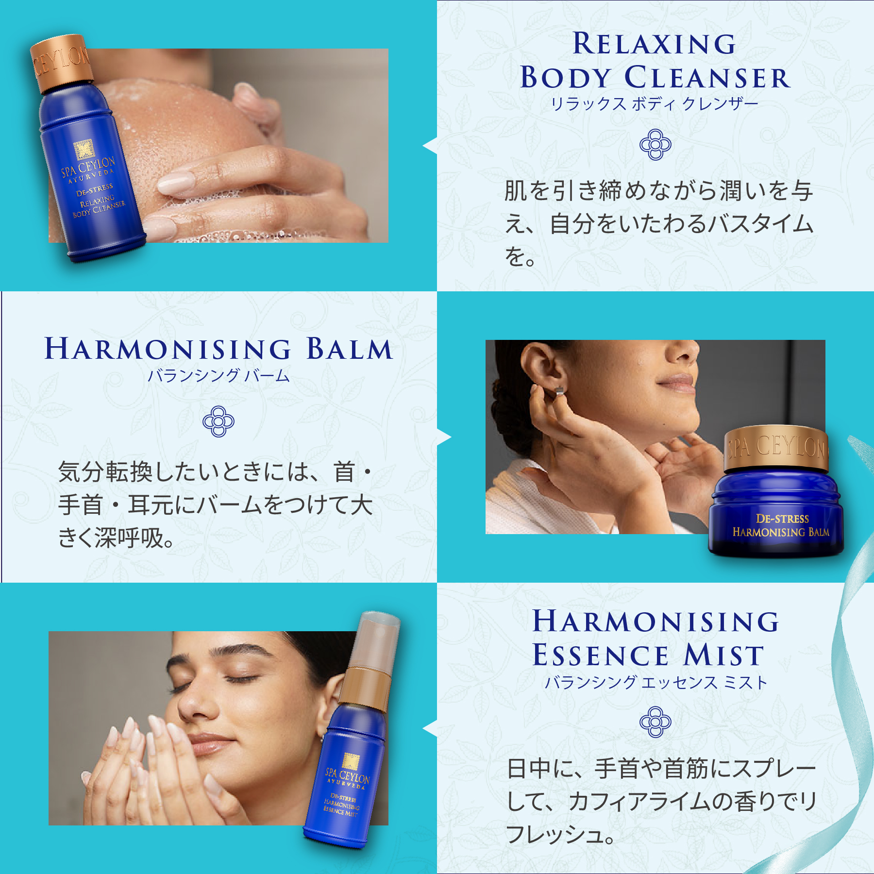 ウェルネストリオDS