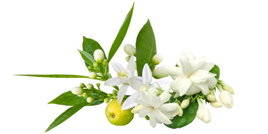aromaveda_candle