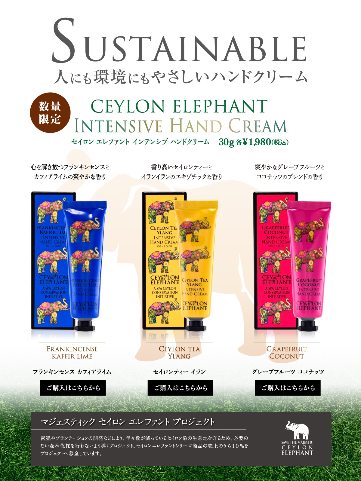 セイロン エレファント インテンシブ ハンドクリーム 