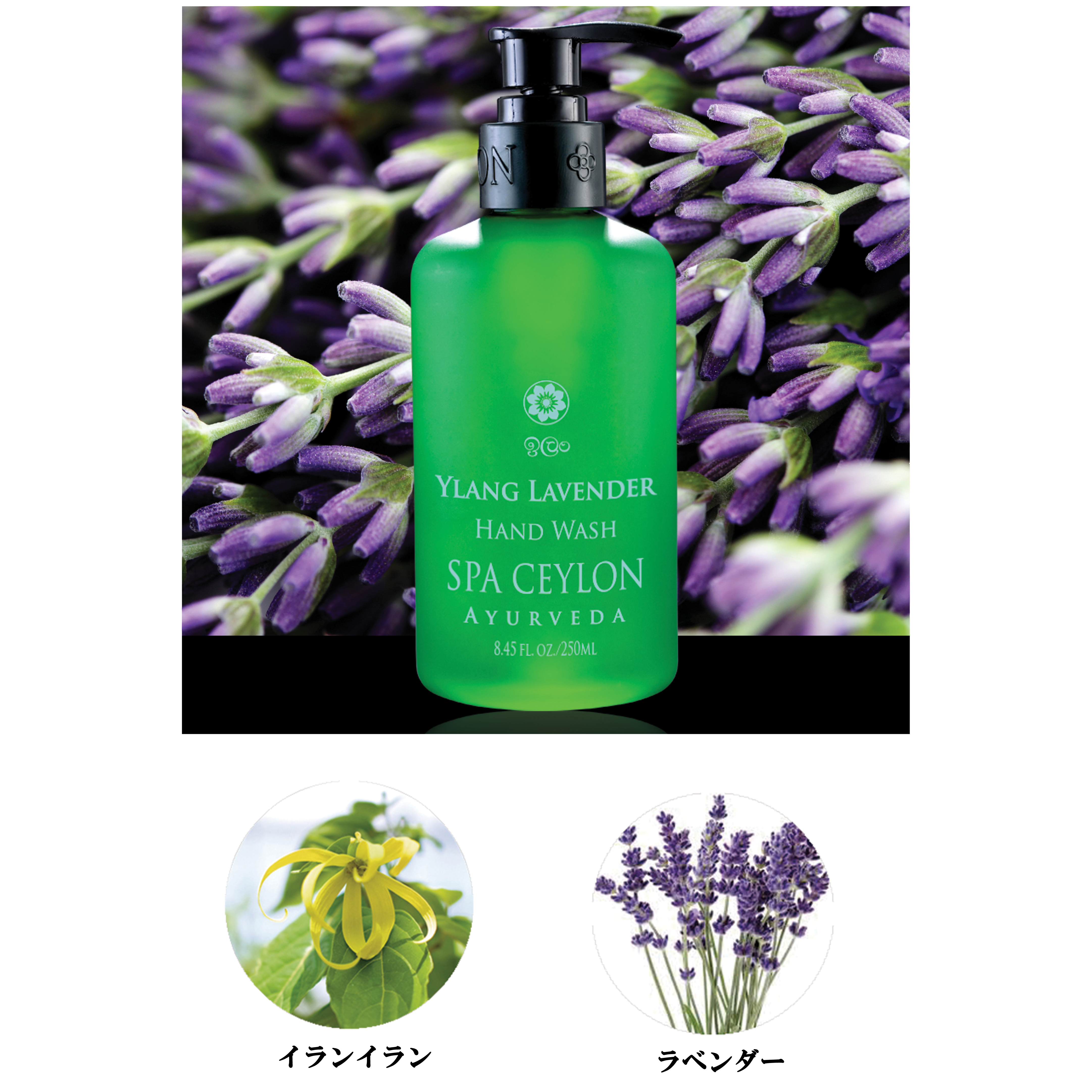 Ylang Lavender.jpg