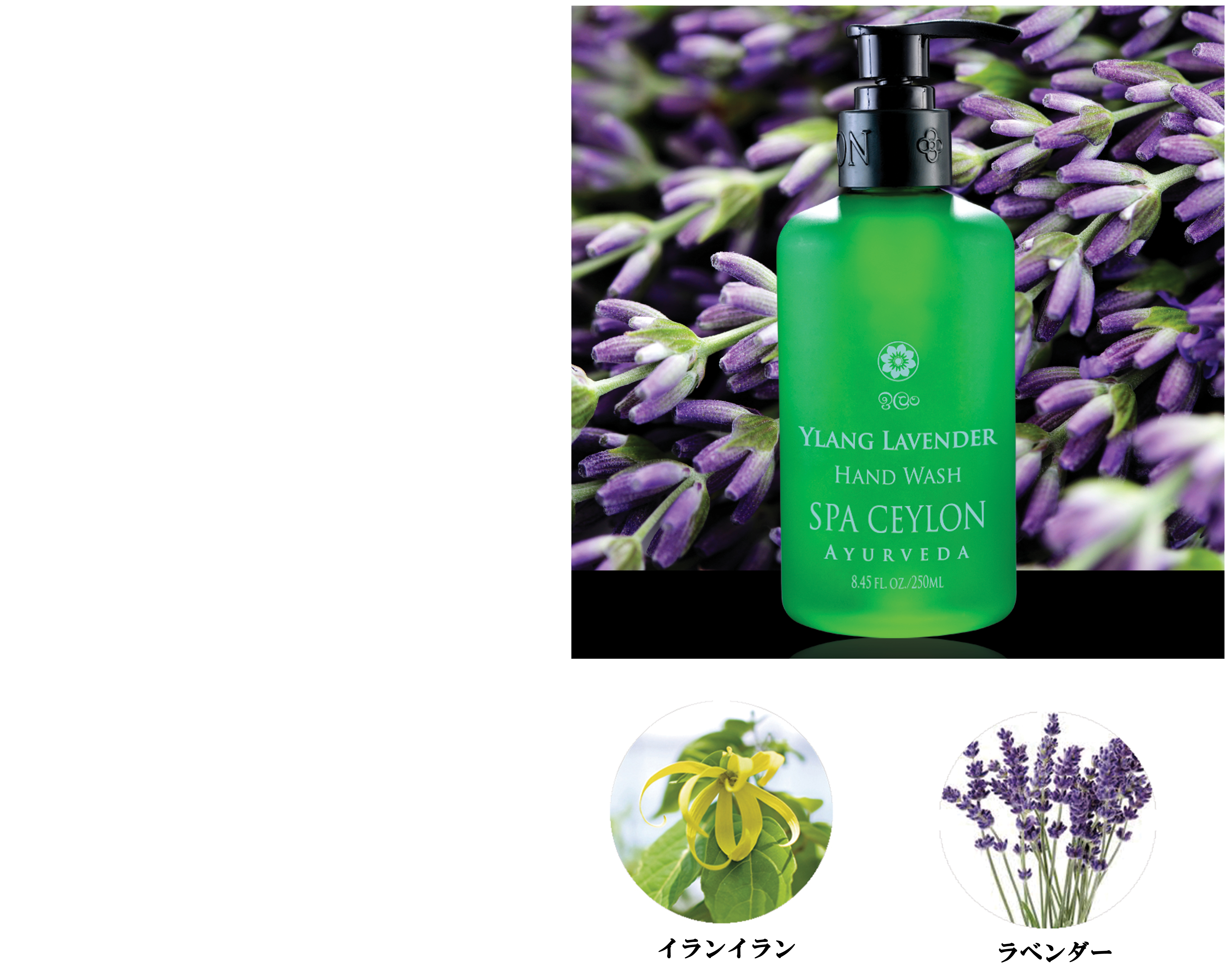 Ylang Lavender.jpg