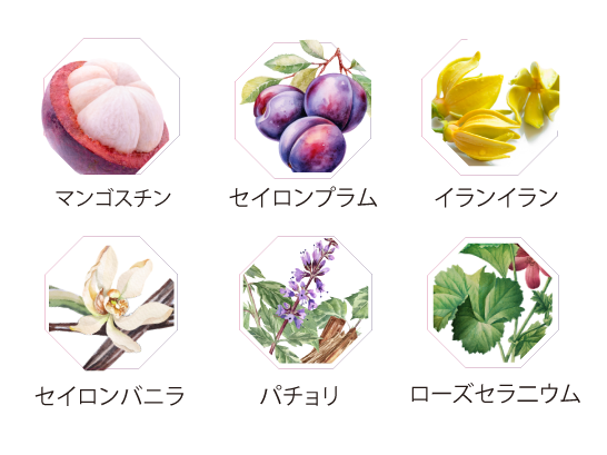 アメジスト フルーツ