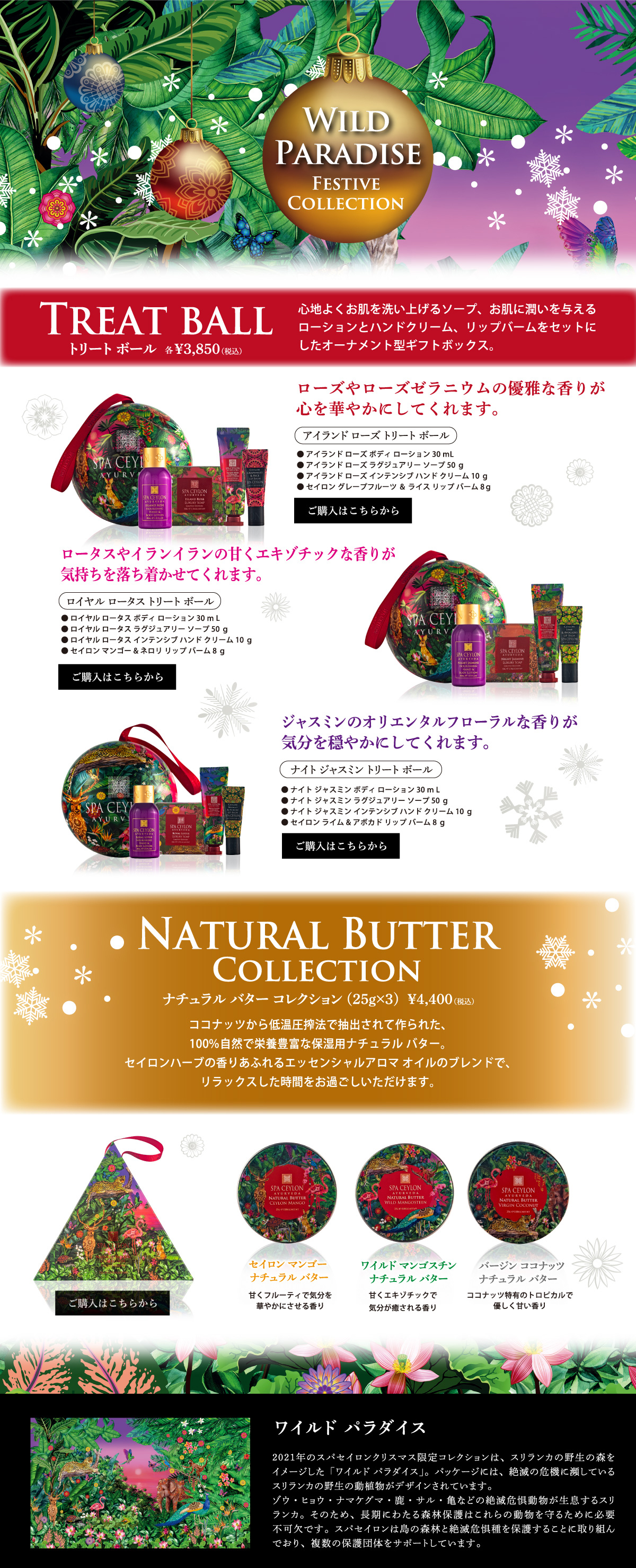 SPA CEYLON | フルーツパラダイス アドベントカレンダー
